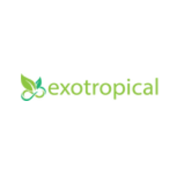 Exotropical