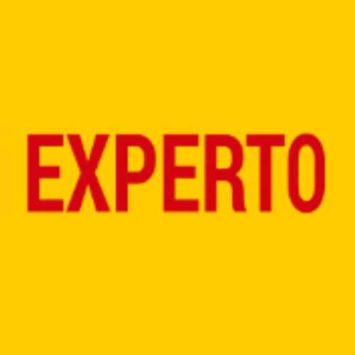 Experto